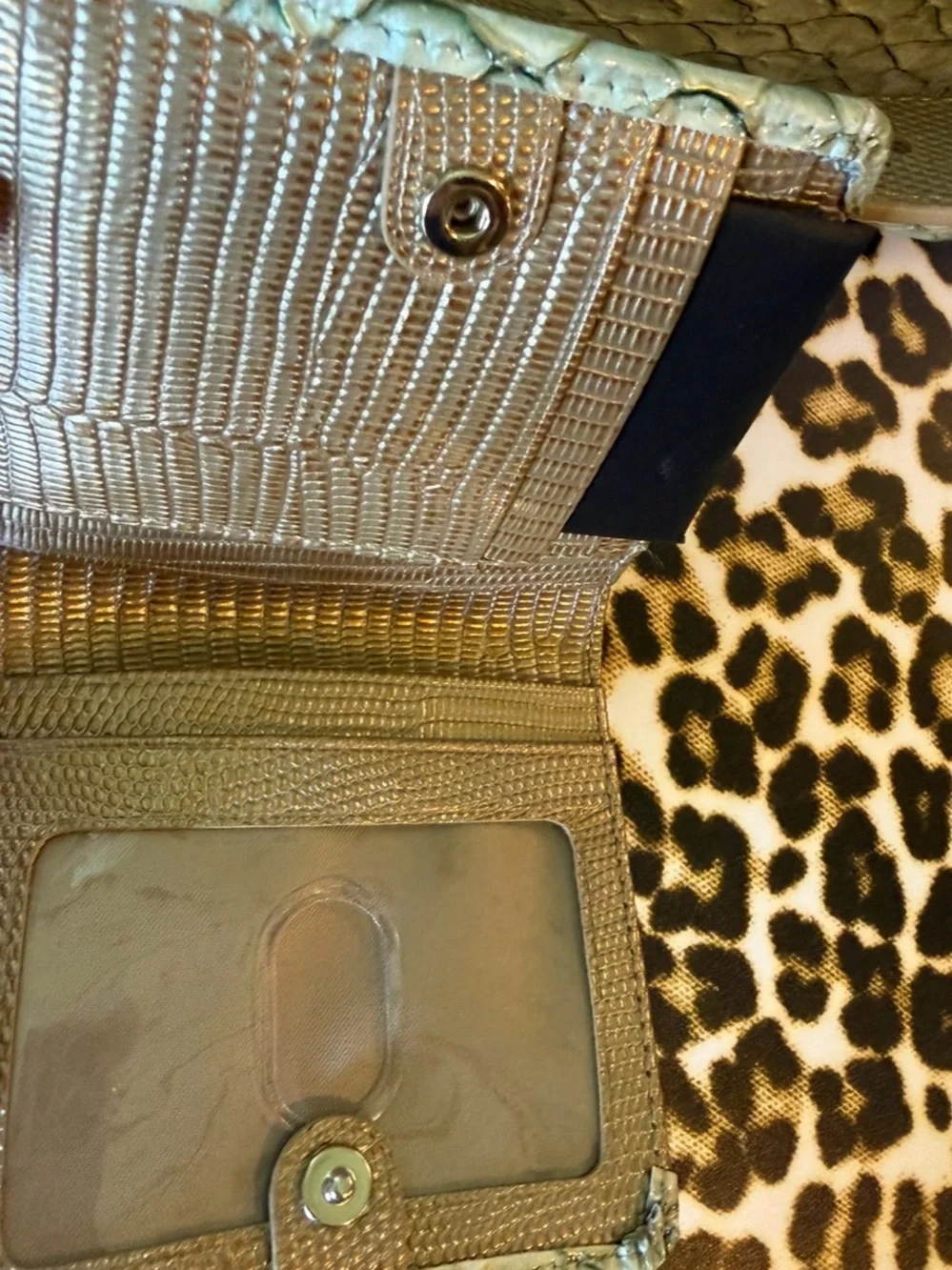 BRAHMIN CELINA MINT NOVELLA BAG WITH MATCHING JANE WALLET NWT GREEN SET